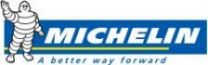 Michelin Logo